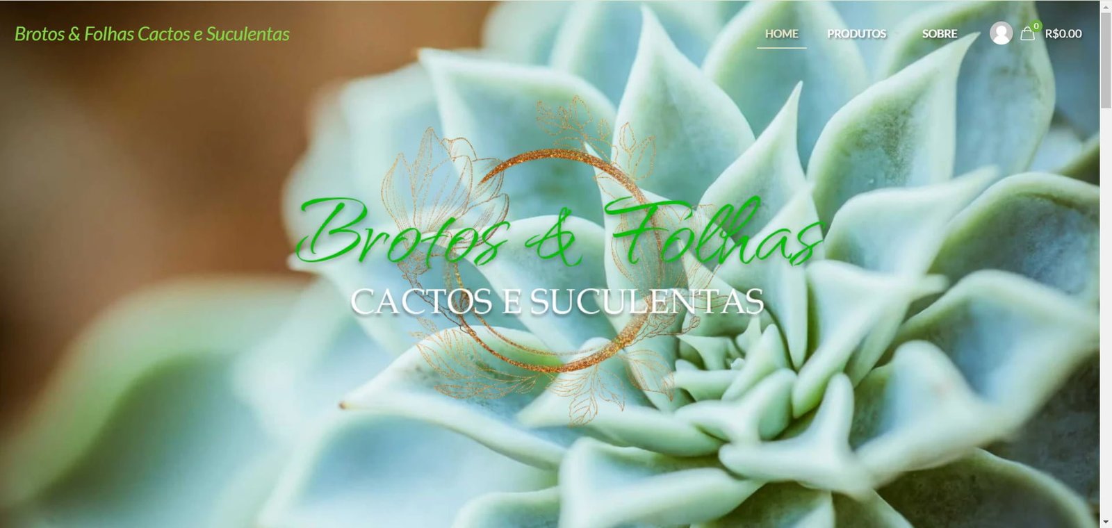 Brotos & Folhas Cactos e Suculentas